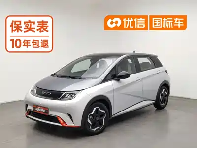 BYD Dolphin 2022