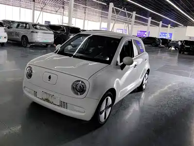 Ora Black Cat 2020