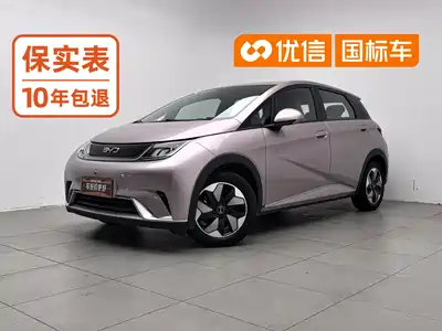BYD Dolphin 2024