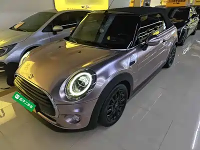 MINI MINI 2019