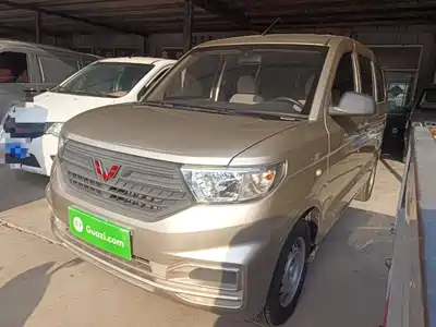 Wuling Motors Hongguang V 2024