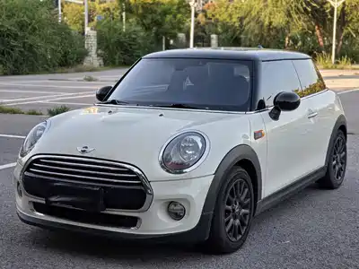 MINI MINI 2015