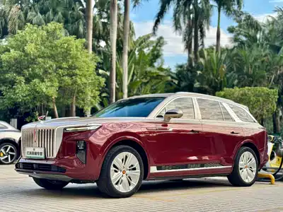 Hongqi E-HS9 2023
