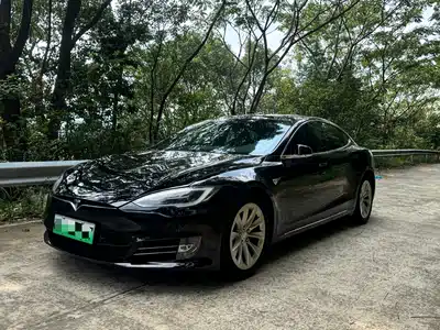 Tesla Model S 2019
