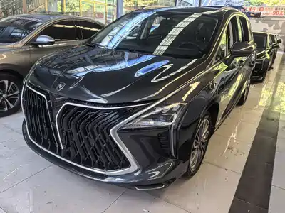 Dongfeng Fengxing Yacht 2023