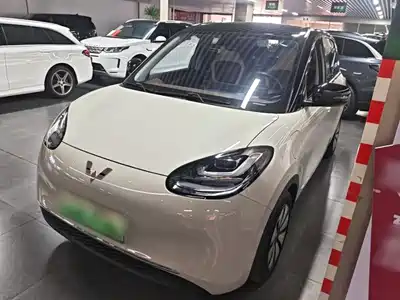 Wuling Motors Bingo 2024