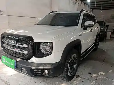 Haval Big Dog 2021