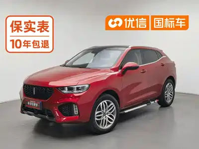 WEY VV5 2019