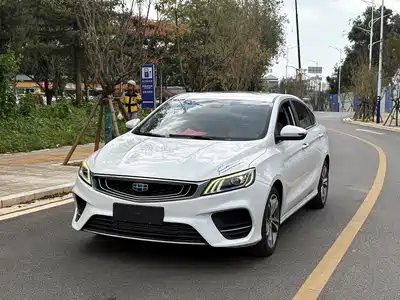 Geely Binrui 2019