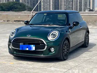 MINI MINI 2018