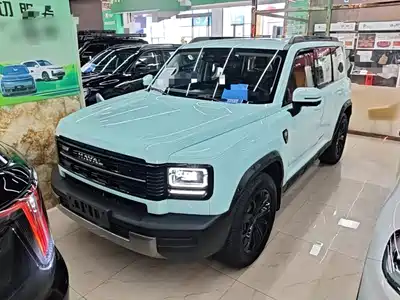 Haval Meng Long NEV 2025