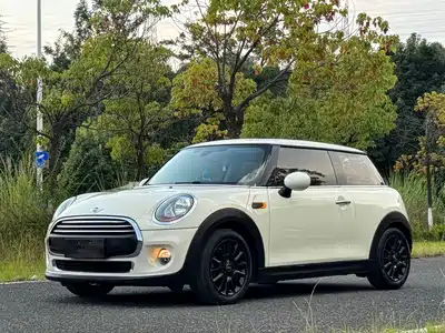 MINI MINI 2017