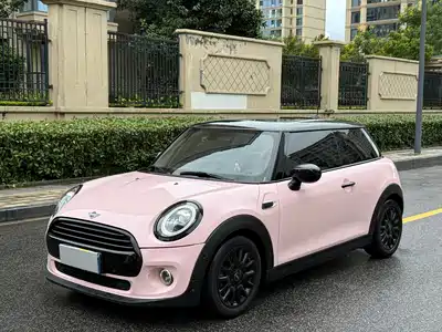 MINI MINI 2020