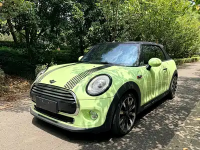 MINI MINI 2018