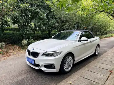 BMW 2 Series (Import) 2015