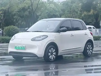Wuling Motors Bingo 2024