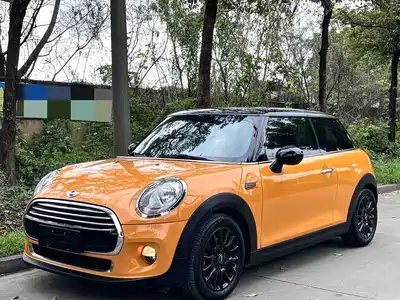 MINI MINI 2018