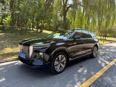 Hongqi E-HS9 2023