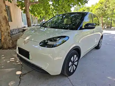Wuling Motors Bingo 2024