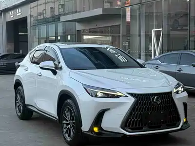 Lexus NX 2024