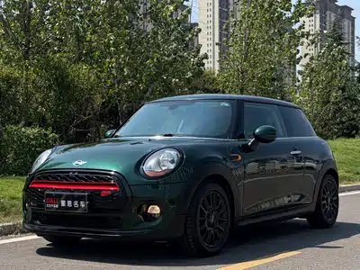MINI MINI 2017