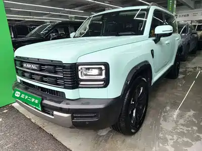 Haval Meng Long NEV 2025
