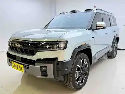 Fang Cheng Bao Leopard 8 2024