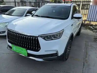 Leopaard Mattu 2019