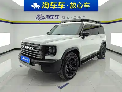 Haval Meng Long NEV 2024