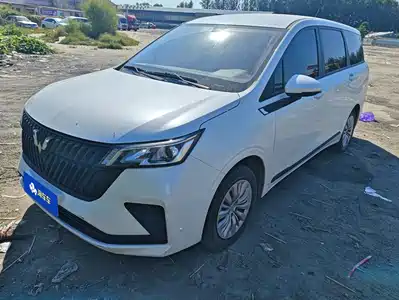 Wuling Motors Jiachen 2024