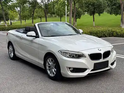 BMW 2 Series (Import) 2016