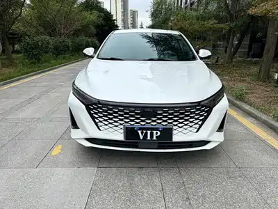 Changan Ruicheng PLUS 2023