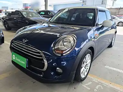 MINI MINI 2017