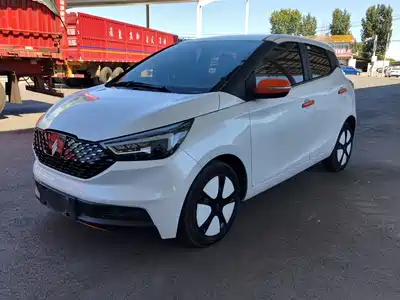 JMCG New Energy Yizhi EV3 2024