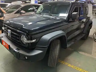 Tank 300 2023