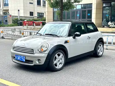 MINI MINI 2010