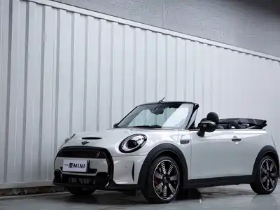 MINI MINI 2023