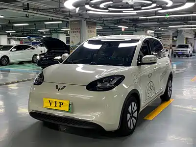 Wuling Motors Bingo 2024