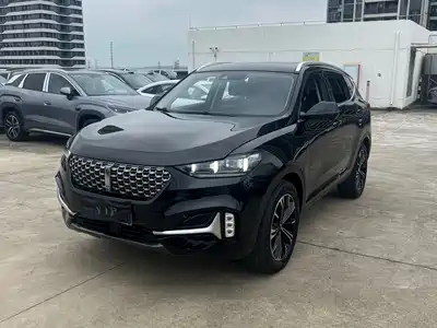 WEY VV6 2021