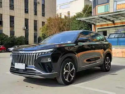 Dongfeng Aeolus Haoji 2024