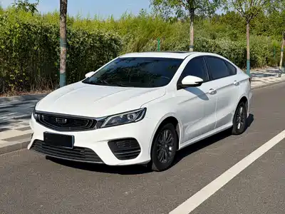 Geely Binrui 2021
