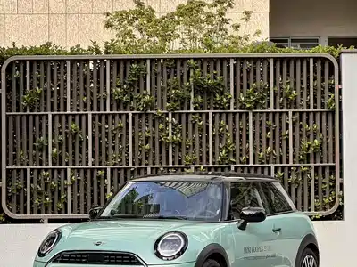 MINI MINI 2025