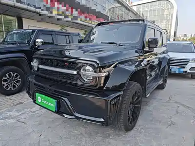 Crossboundary Auto Co-created Tank 300 2023