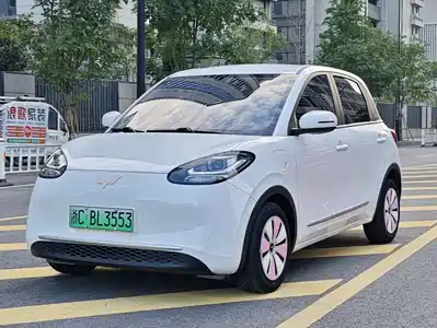 Wuling Motors Bingo 2024