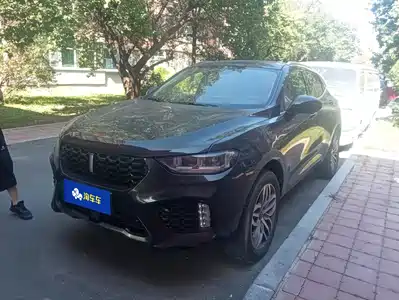 WEY VV5 2019