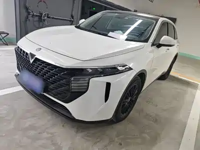 Venucia Big V 2021