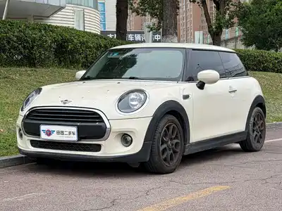 MINI MINI 2020
