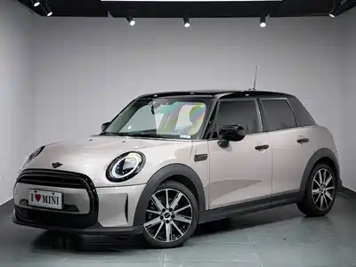 MINI MINI 2021