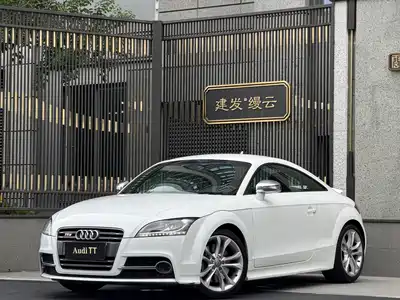 Audi TTS 2013