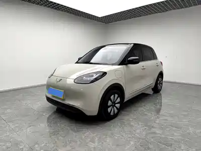 Wuling Motors Bingo 2024